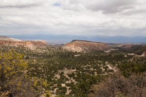 new mexico-14